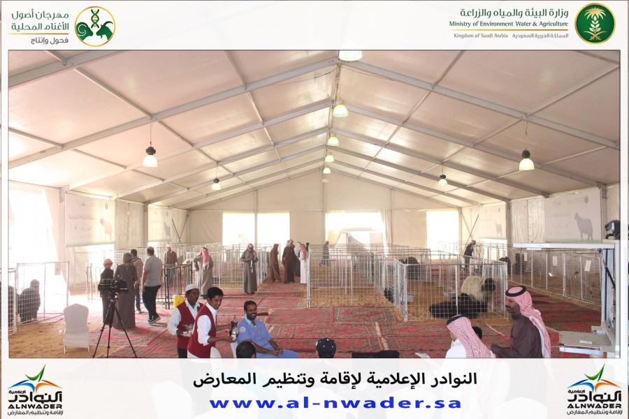 فعاليات مسابقة فحل الجزيرة لأغنام العرب والسواكن لعام 1438 هجري 2017